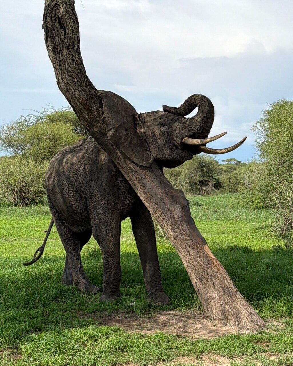 Review photo