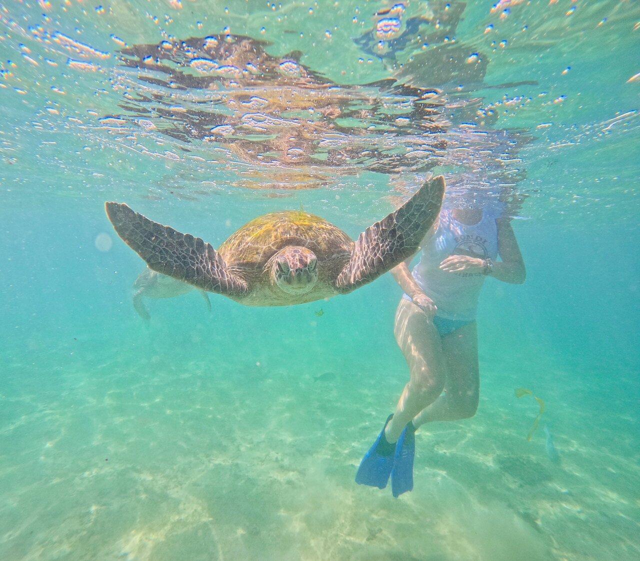 Review photo