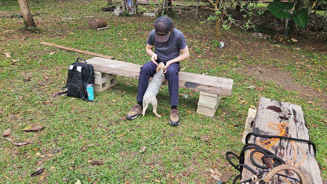 Review photo