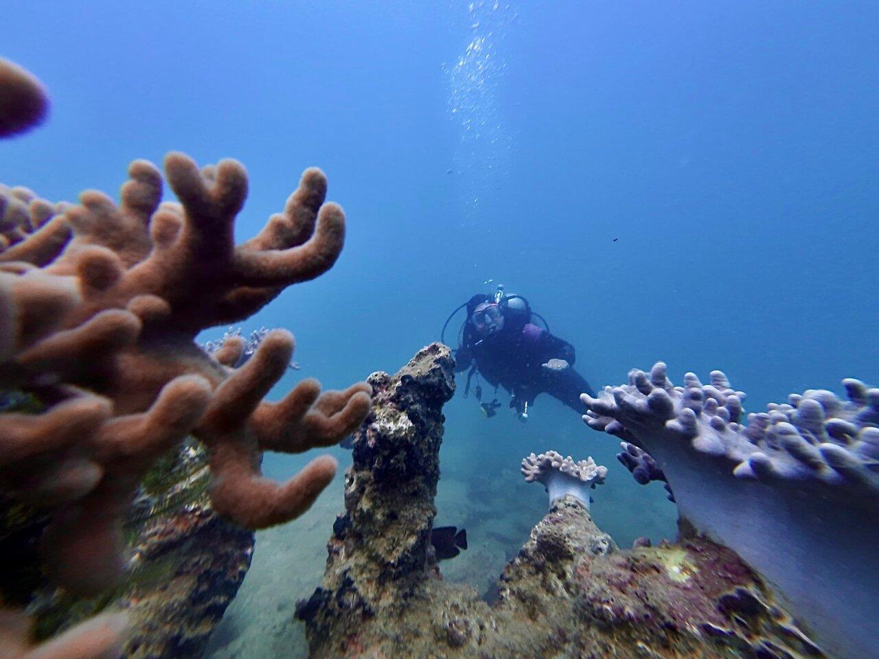 Review photo