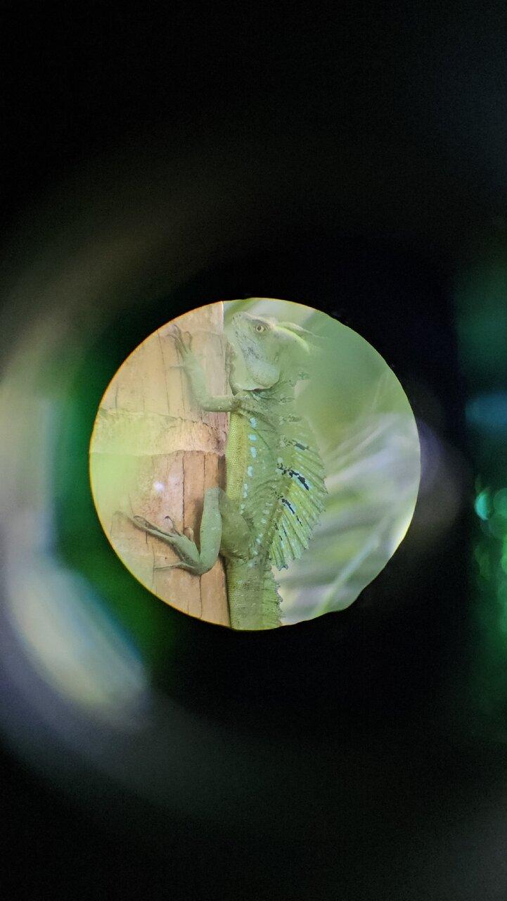 Review photo