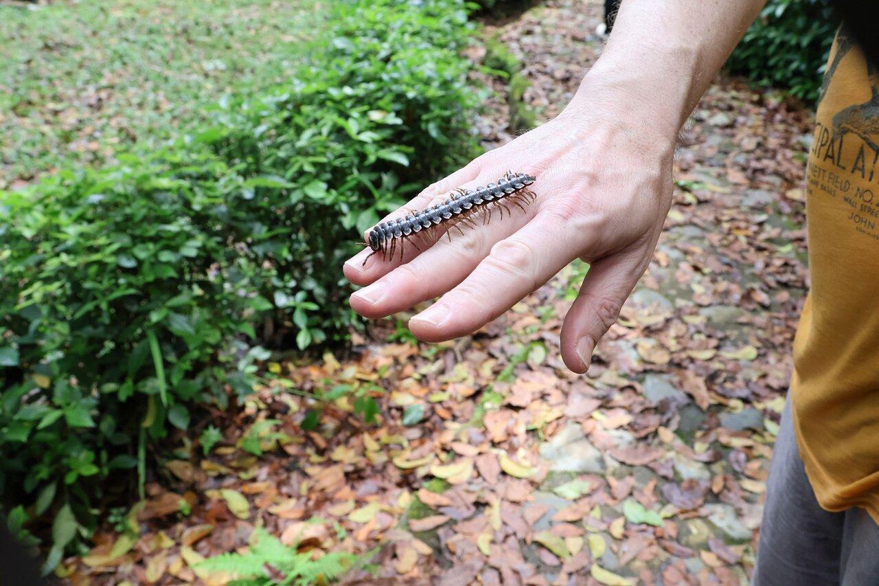 Review photo