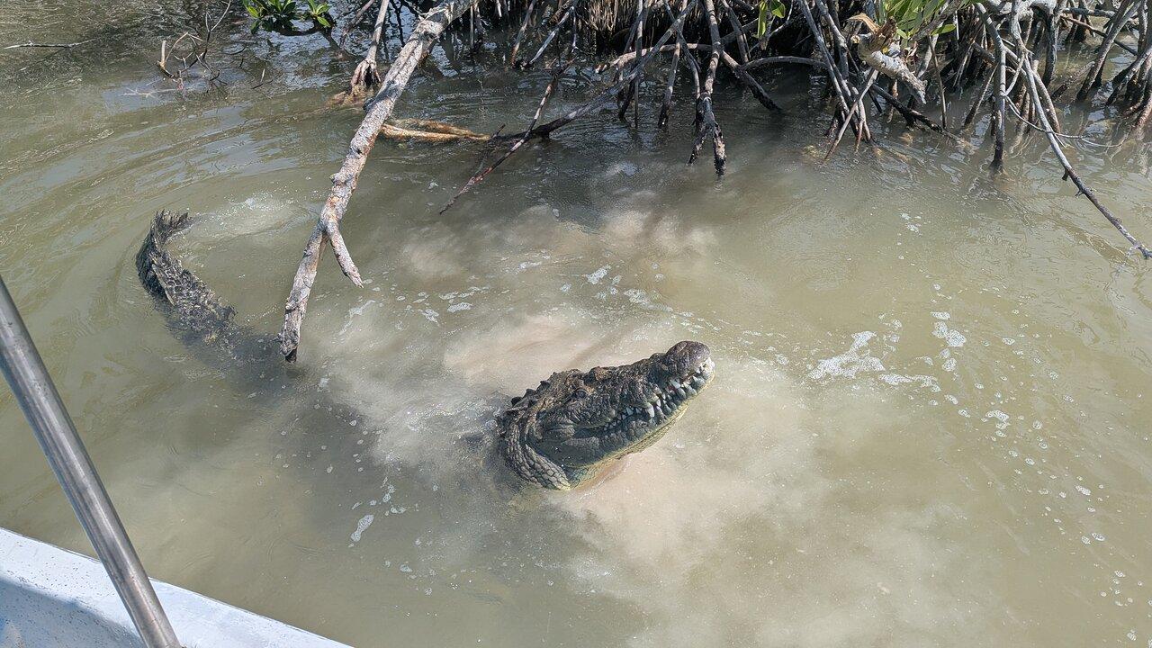 Review photo