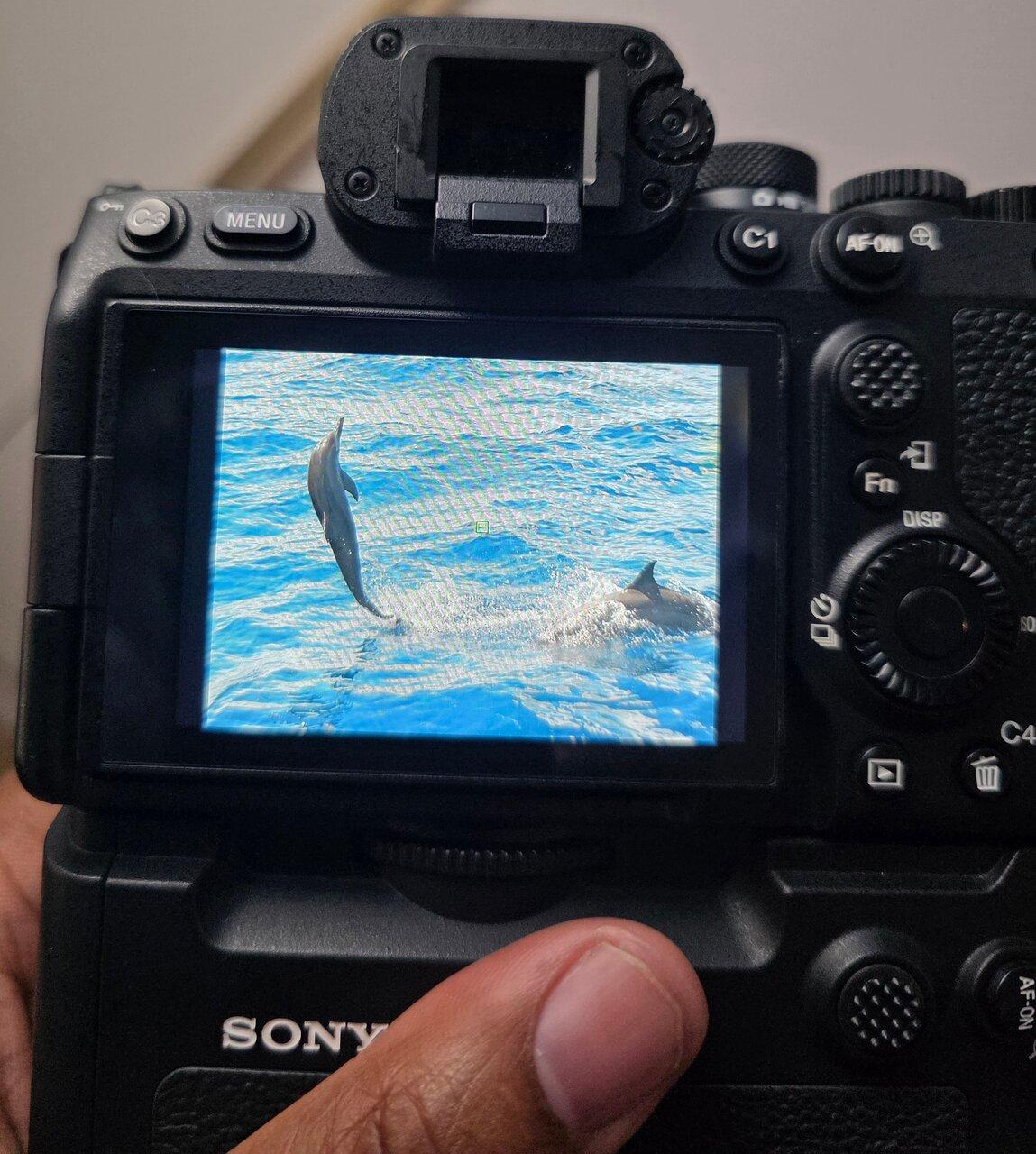 Review photo