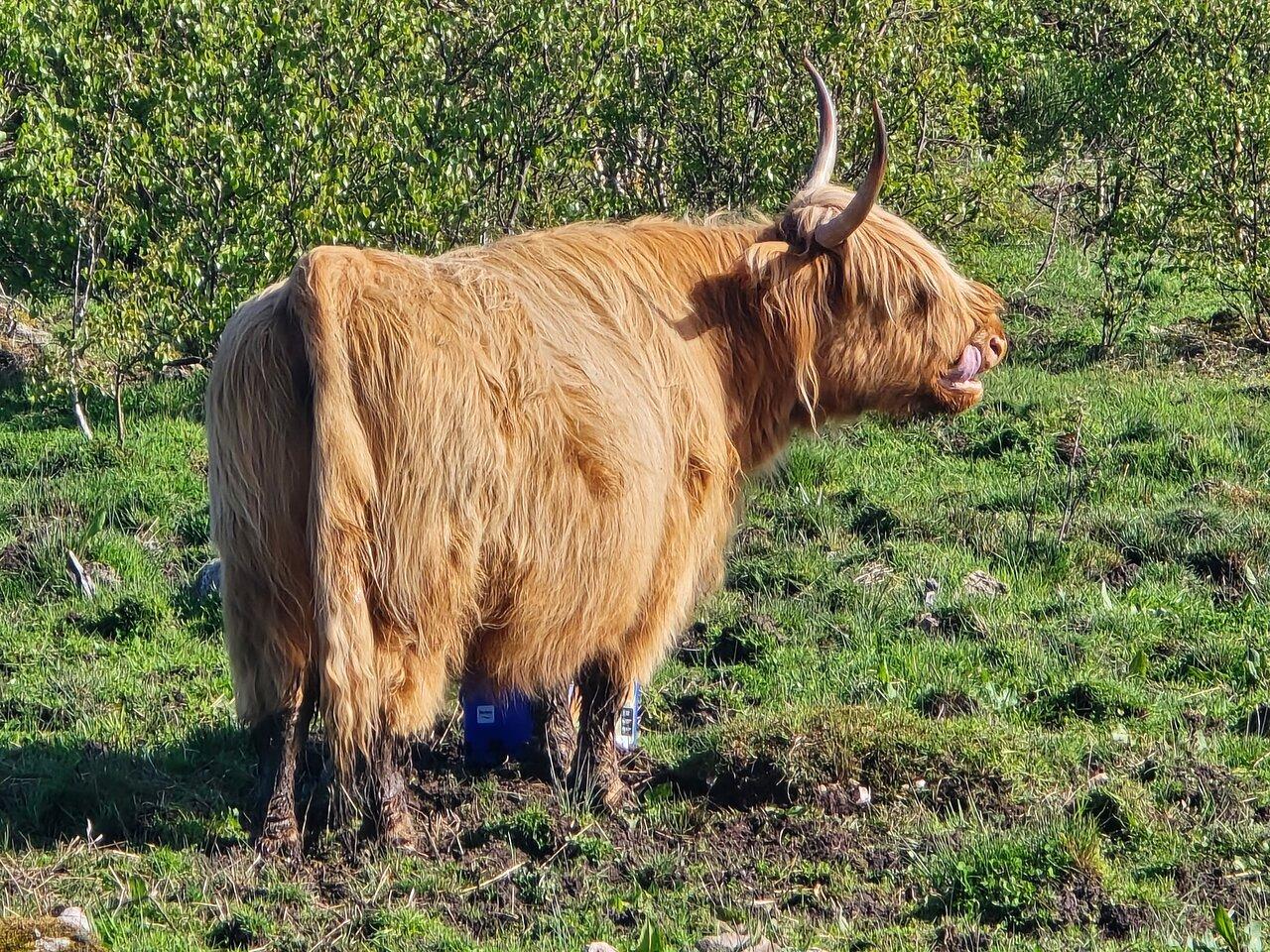 Review photo