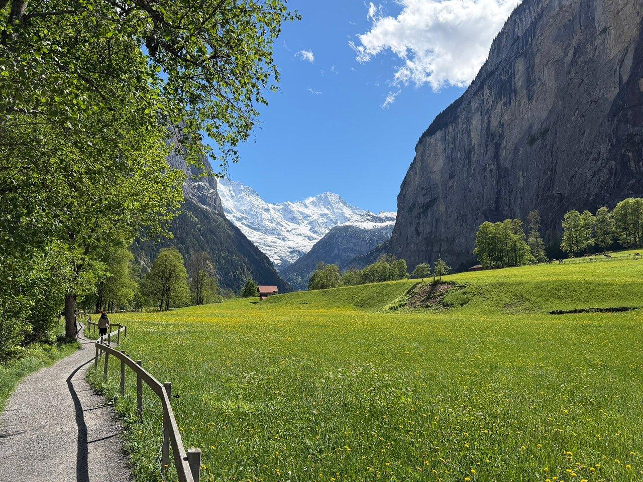 Review photo