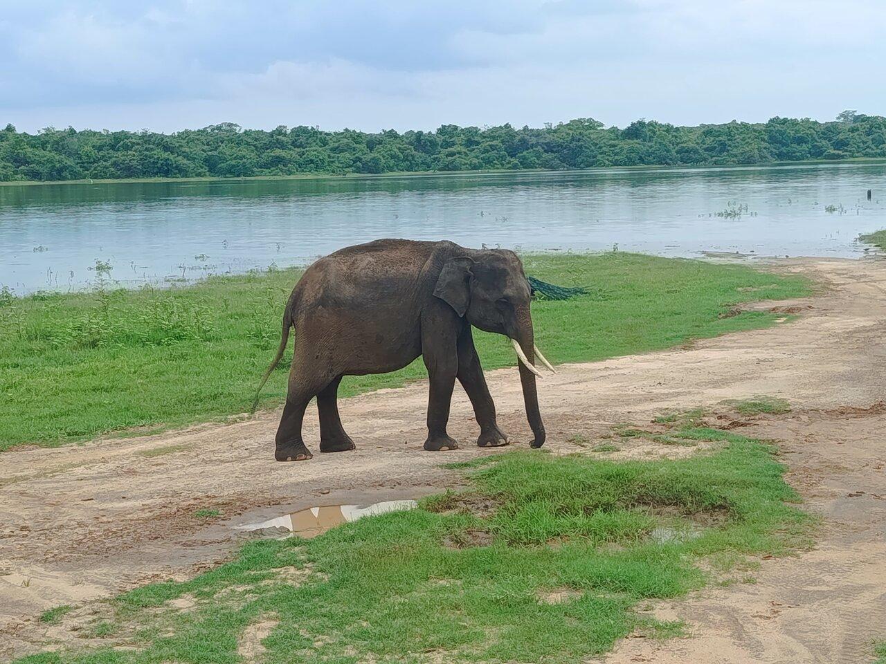 Review photo