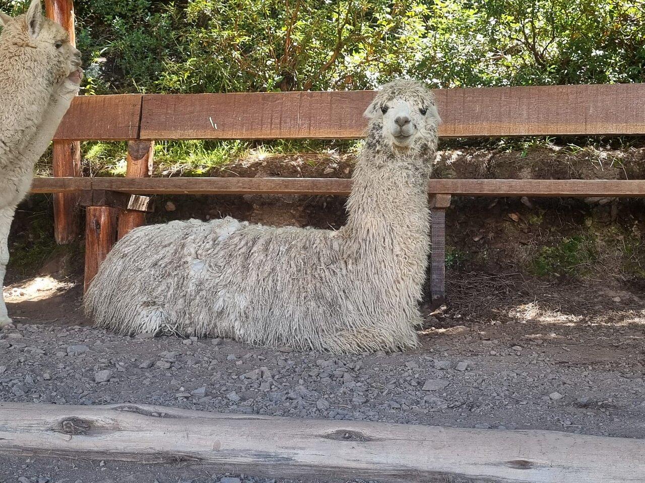 Review photo