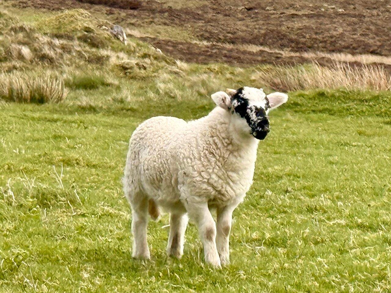 Review photo
