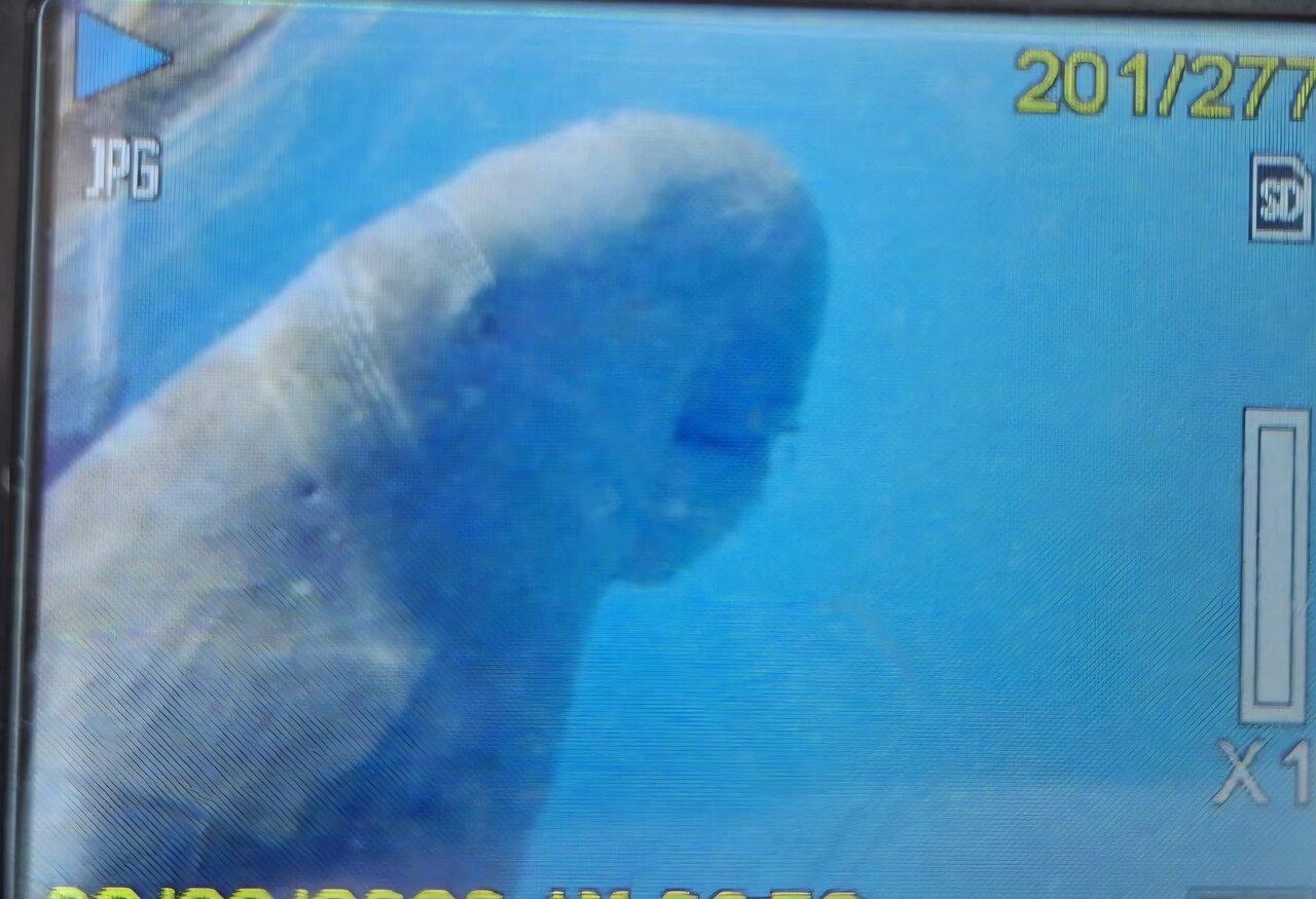 Review photo