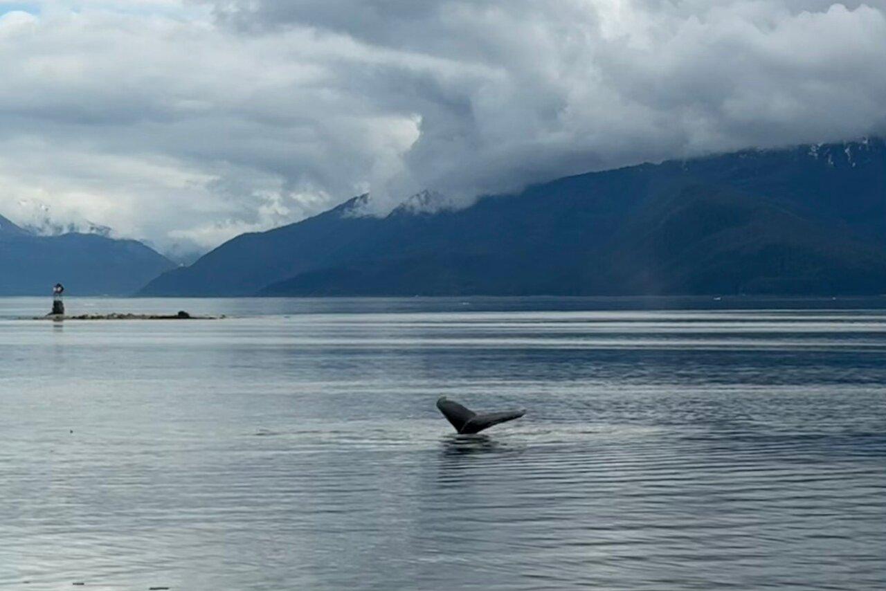 Review photo
