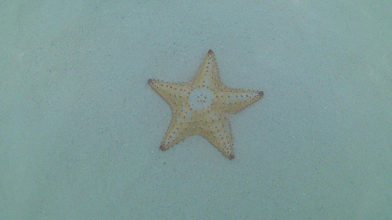 Review photo