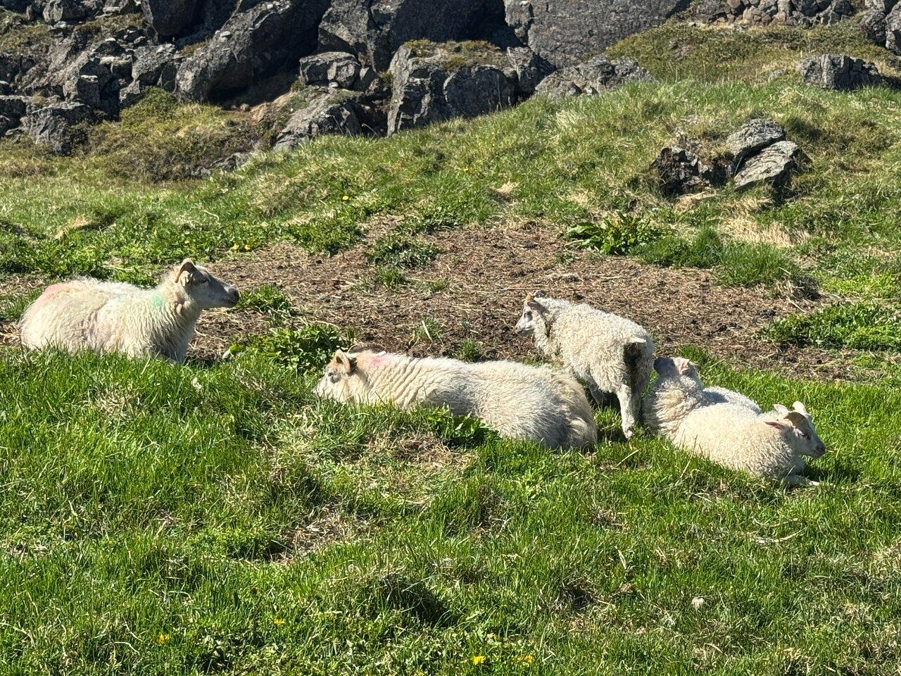 Review photo