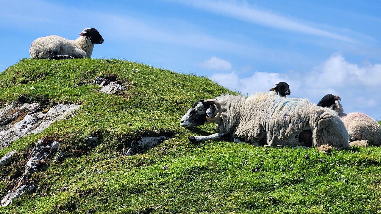 Review photo