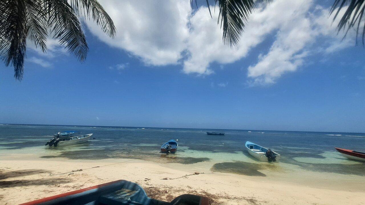 Review photo