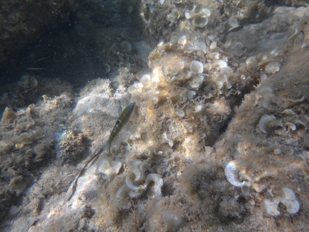 Review photo