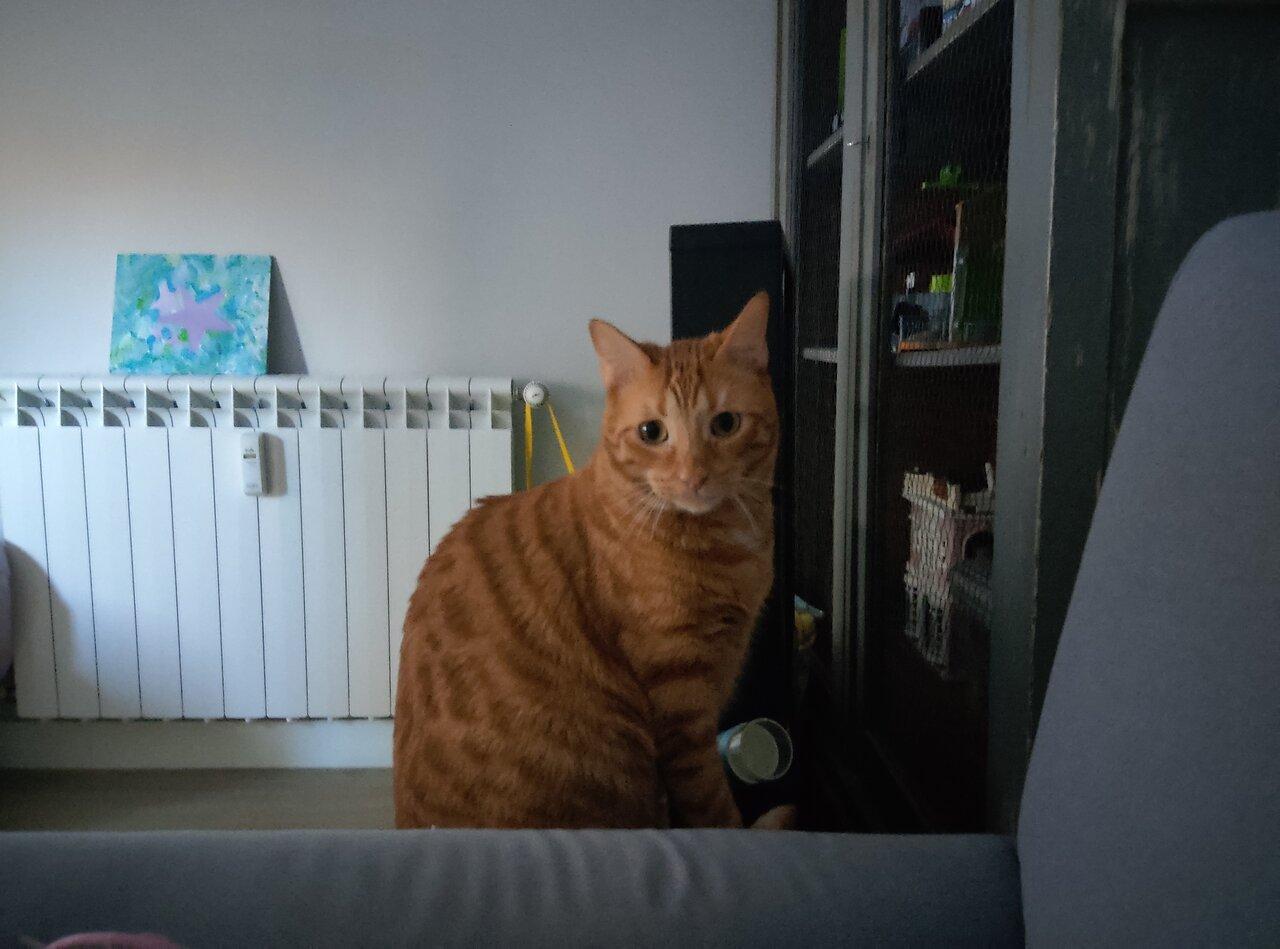 Review photo