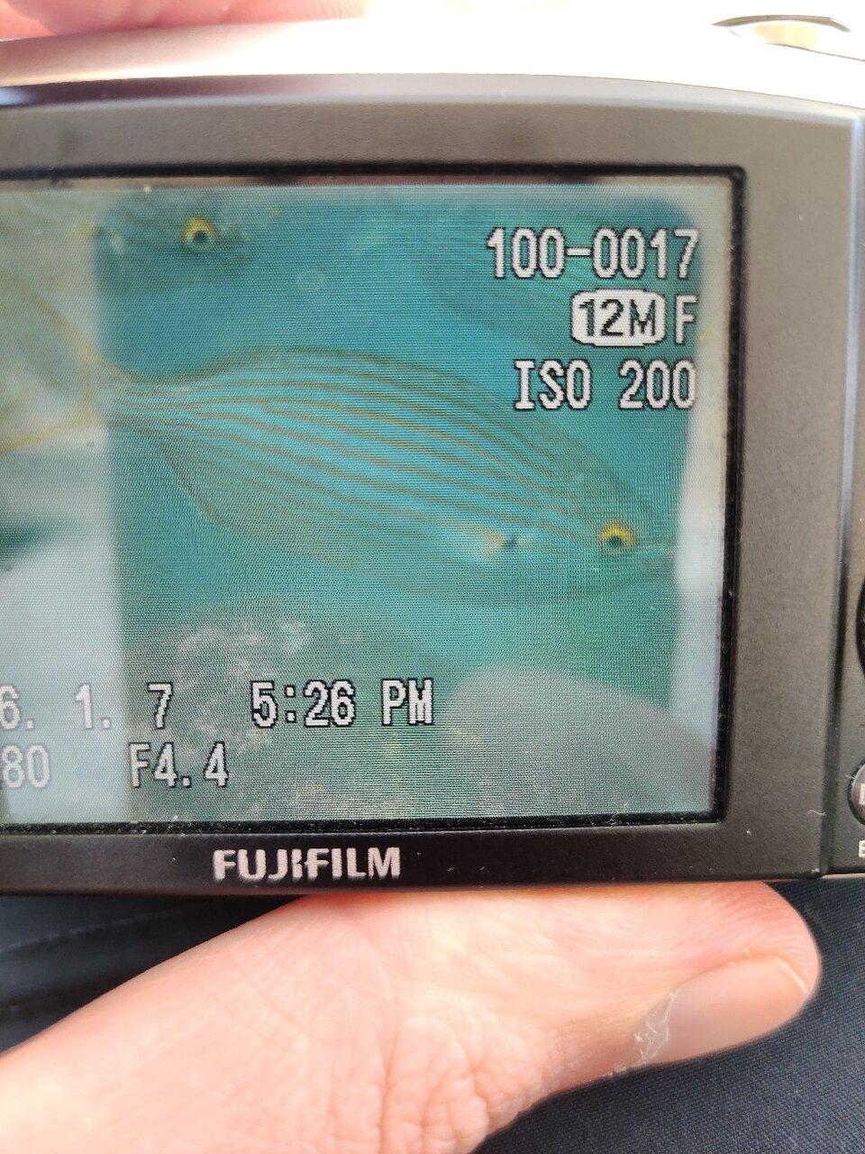 Review photo