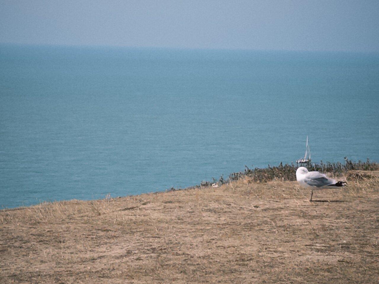 Review photo