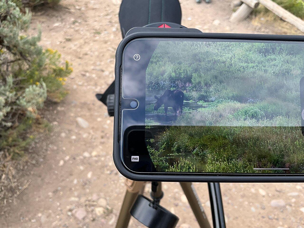 Review photo