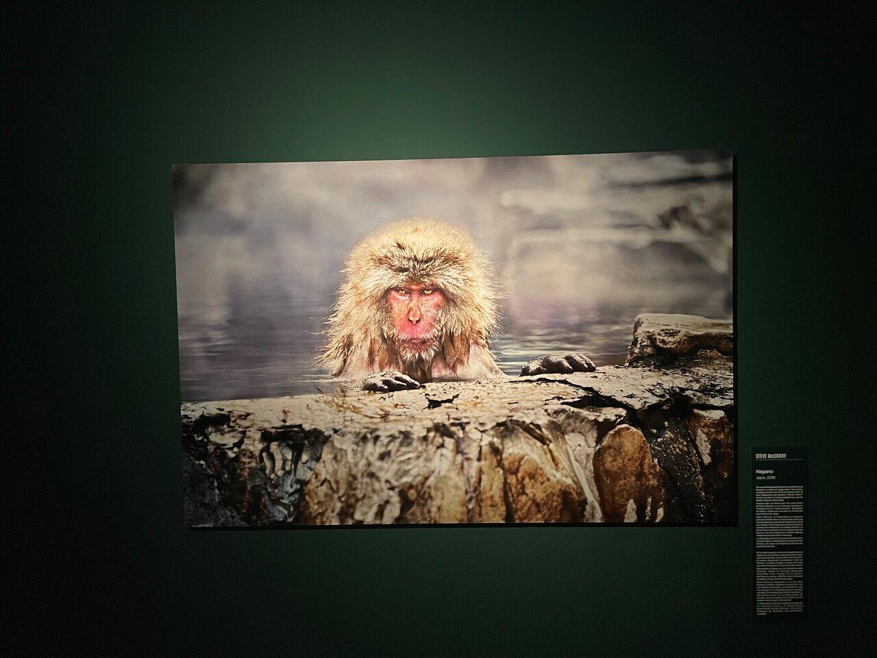Review photo