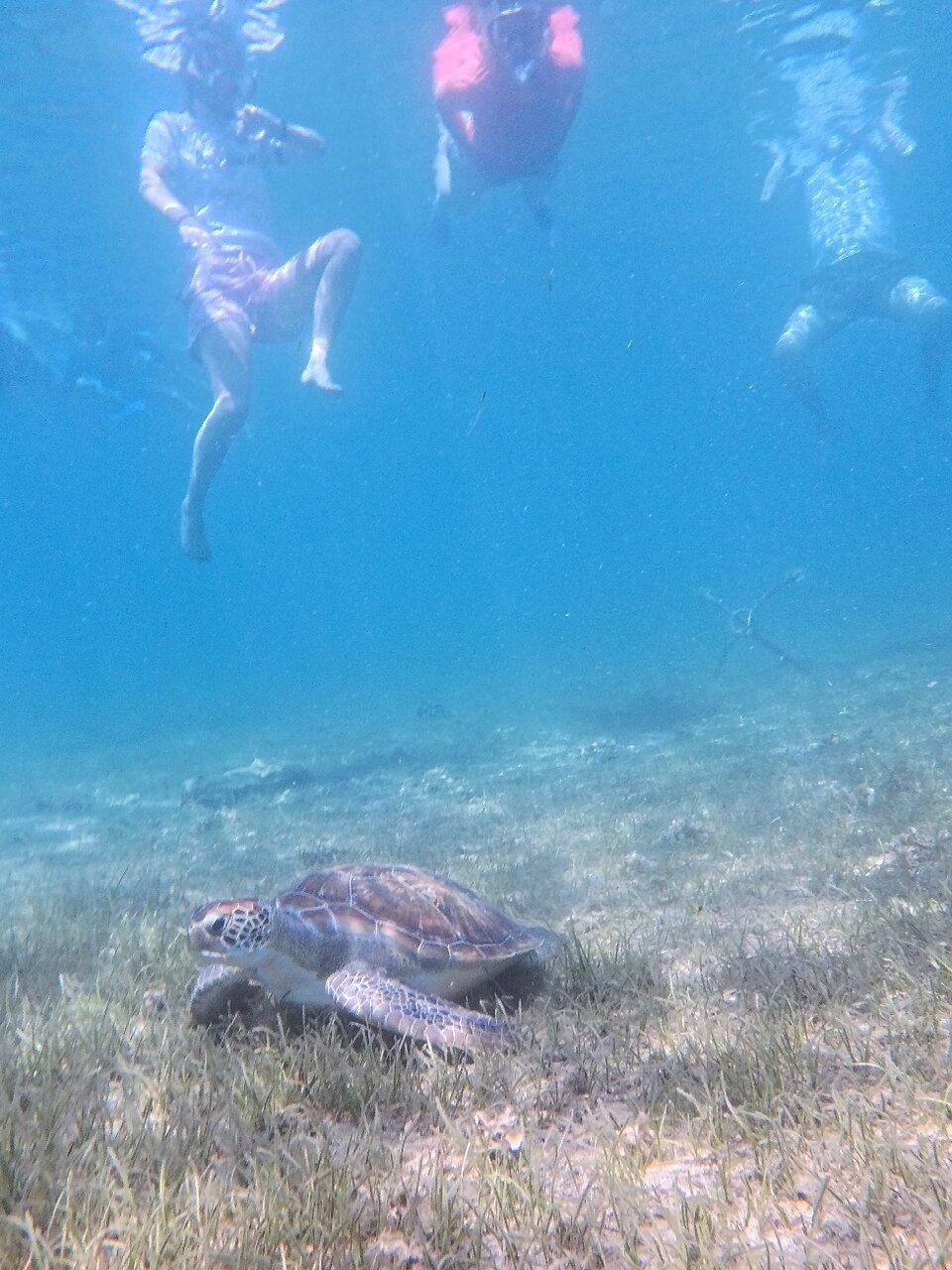 Review photo
