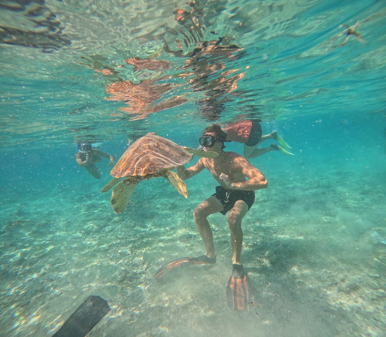Review photo