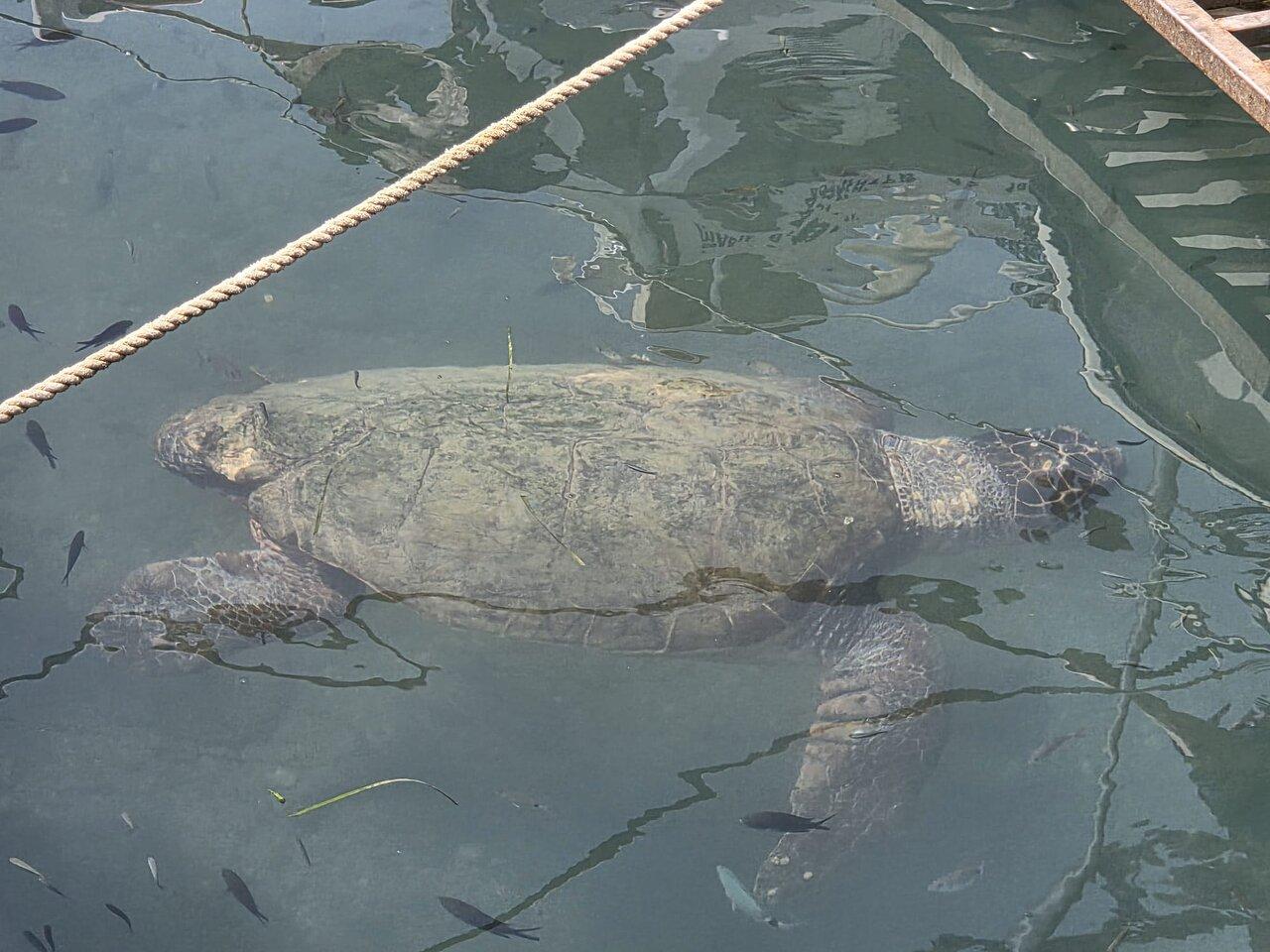 Review photo