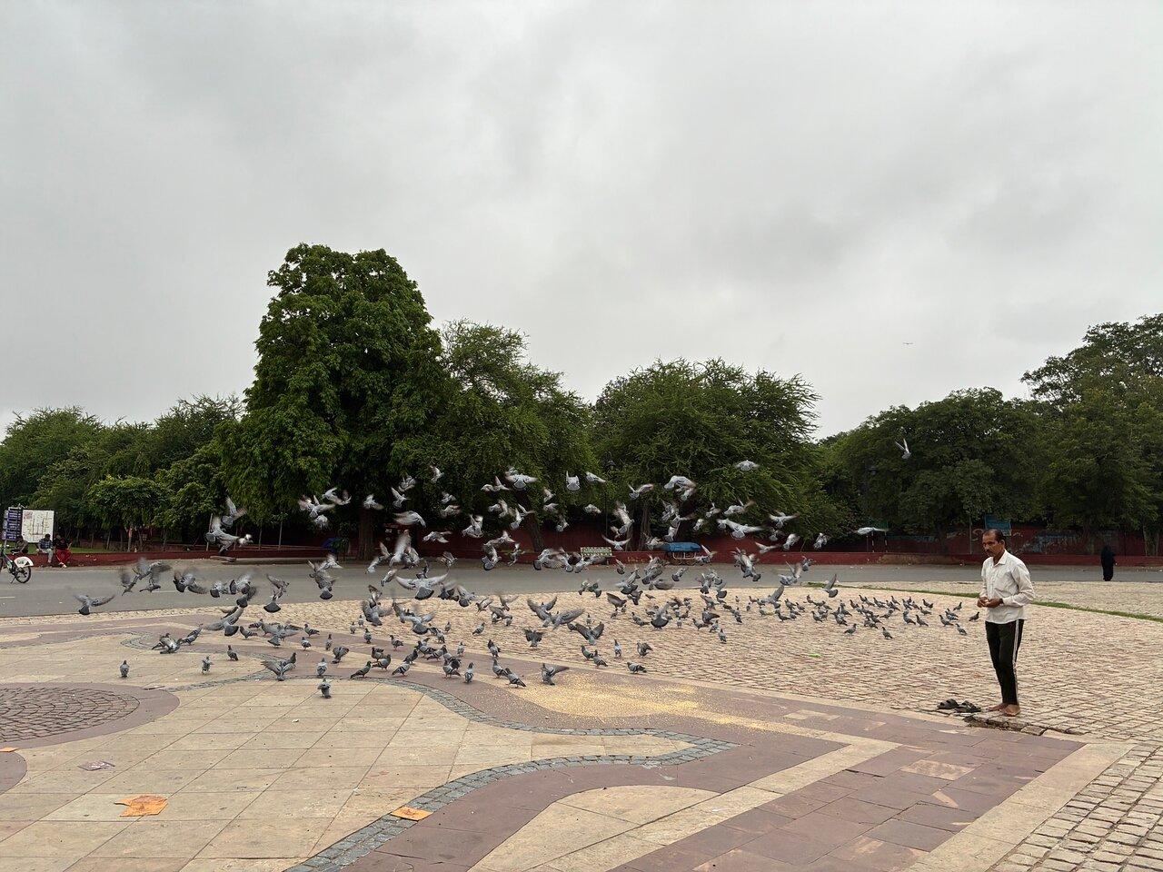 Review photo