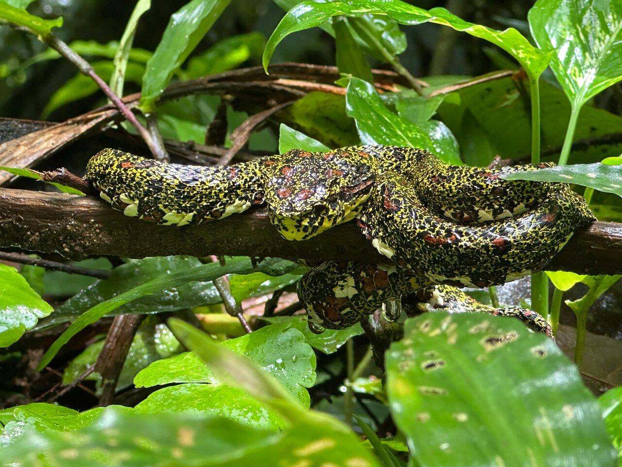 Review photo