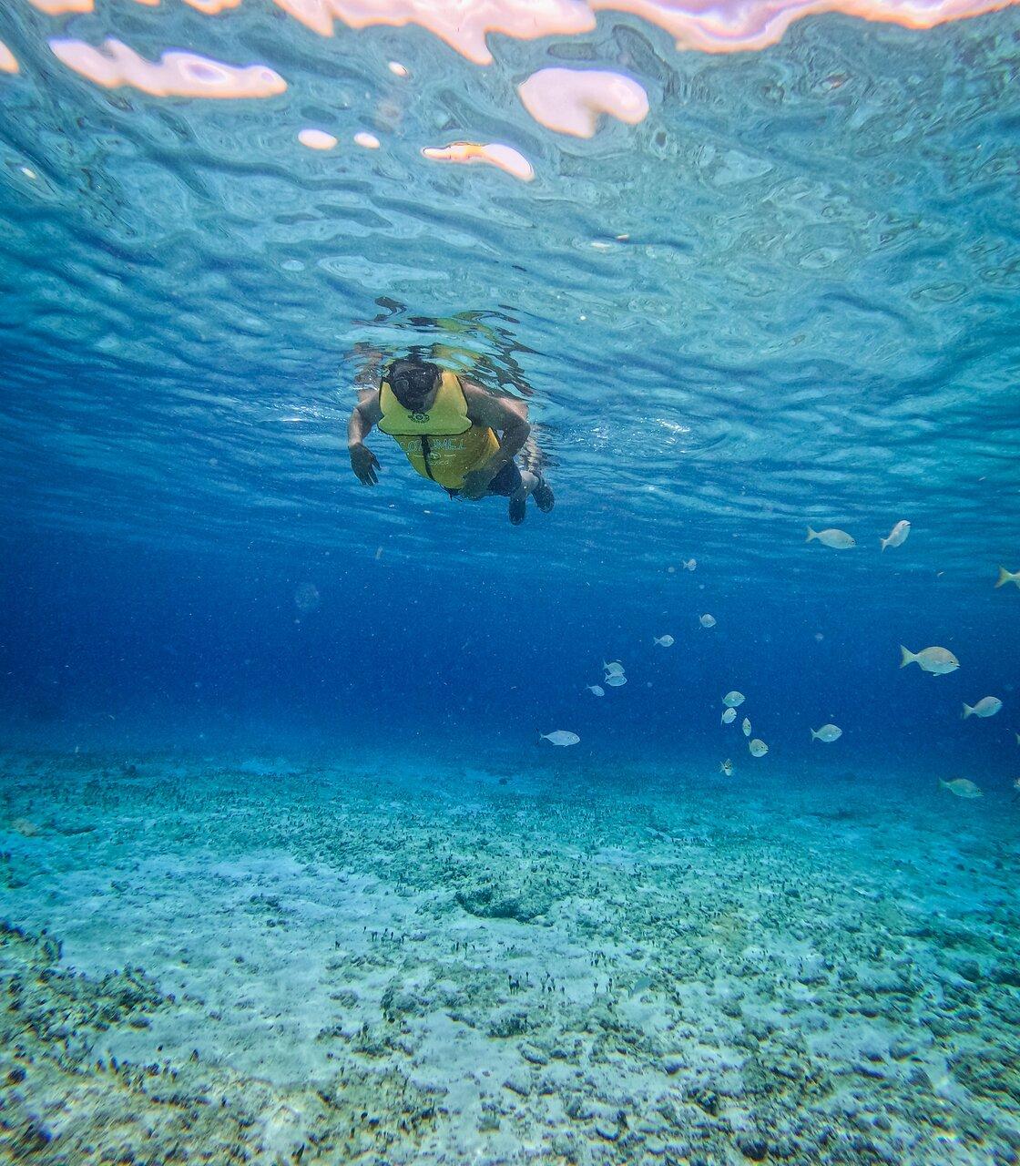 Review photo