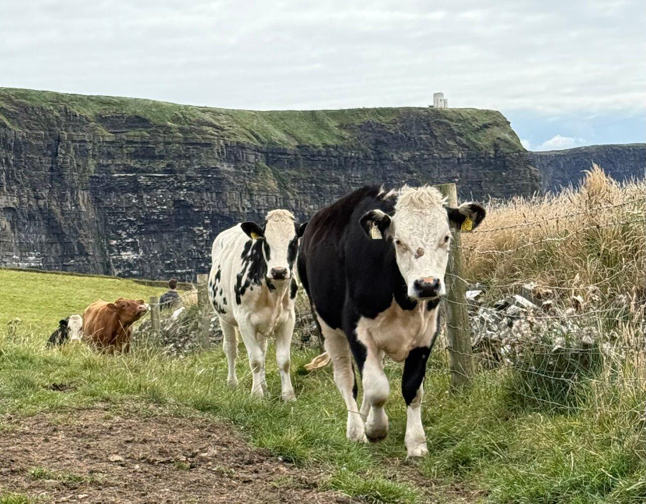 Review photo
