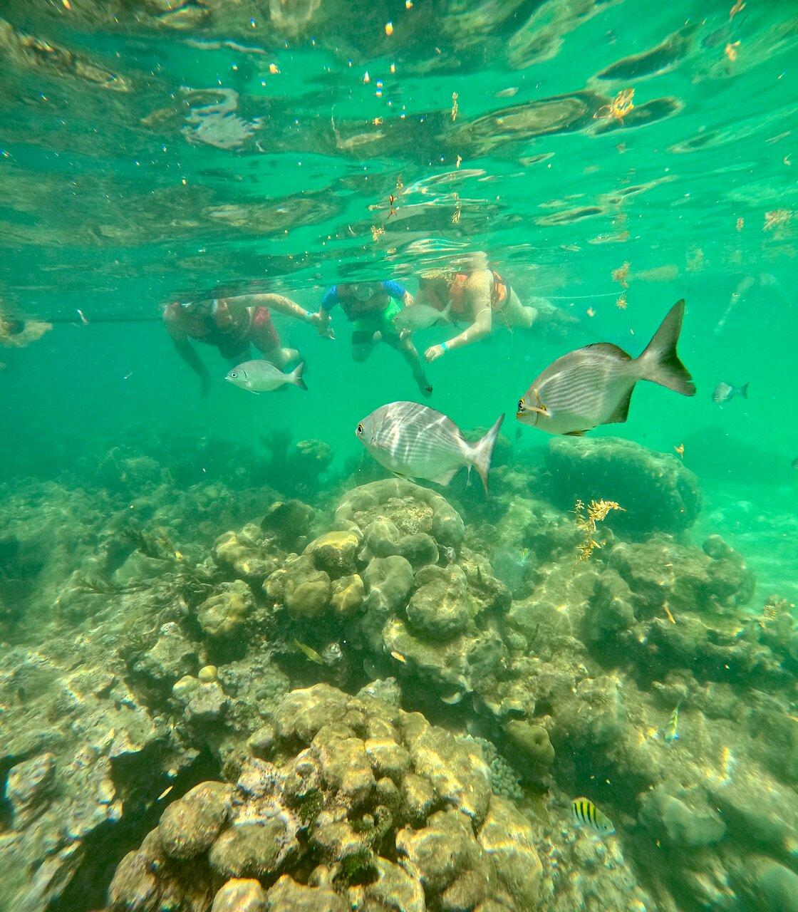 Review photo