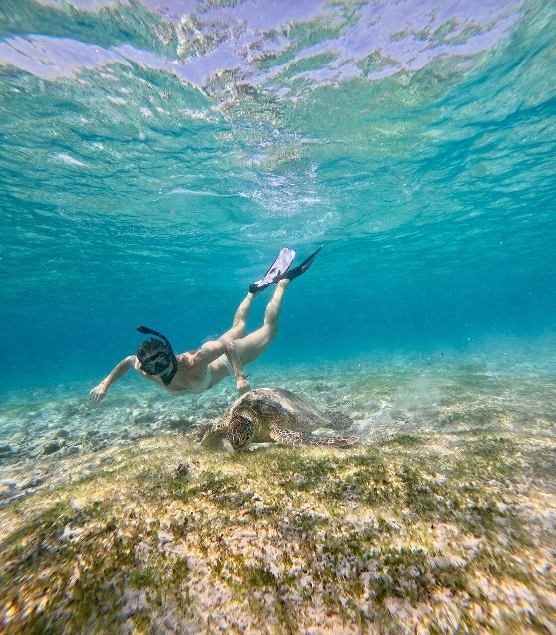 Review photo
