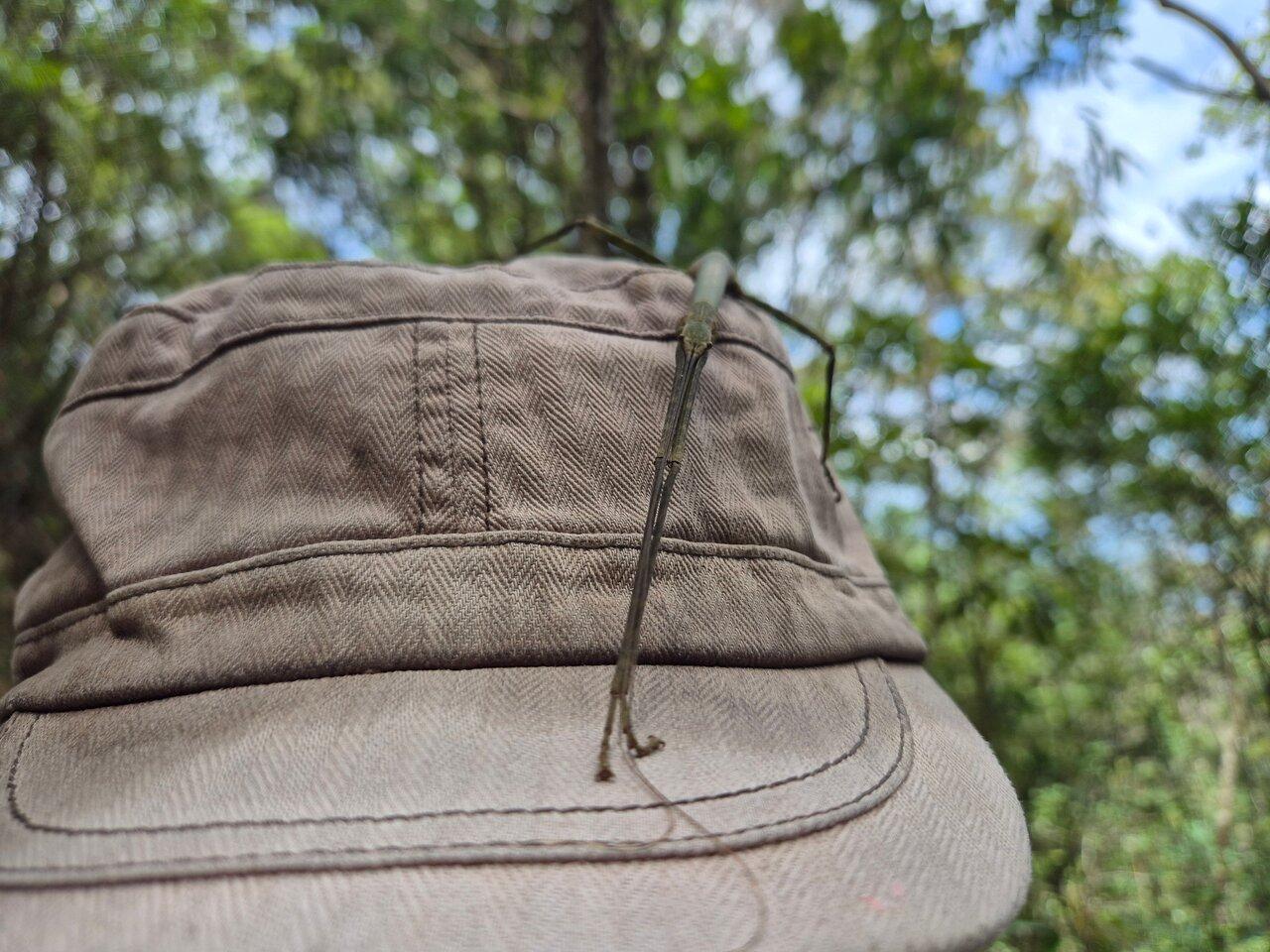 Review photo