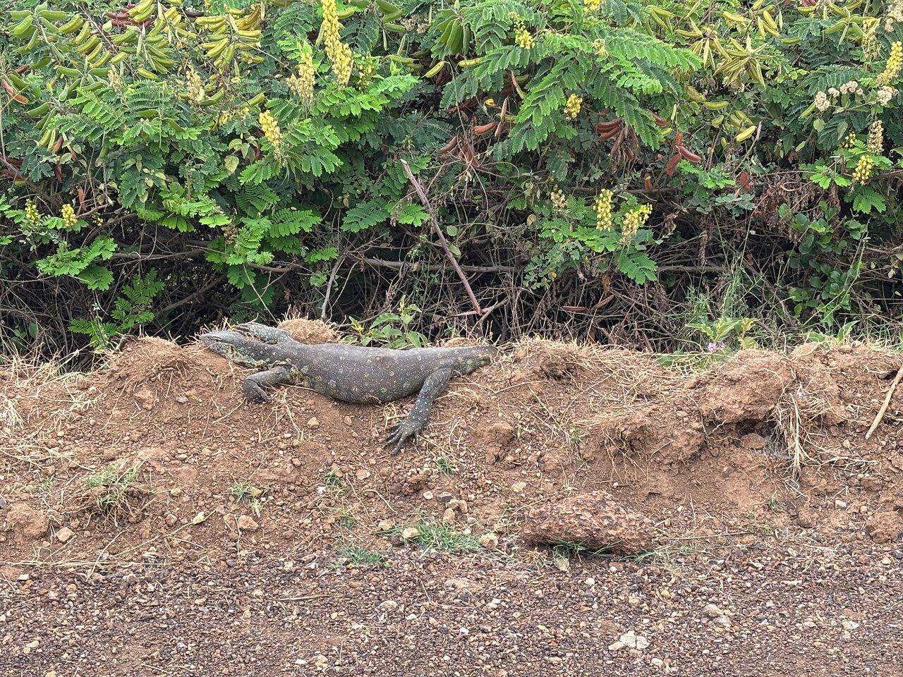Review photo