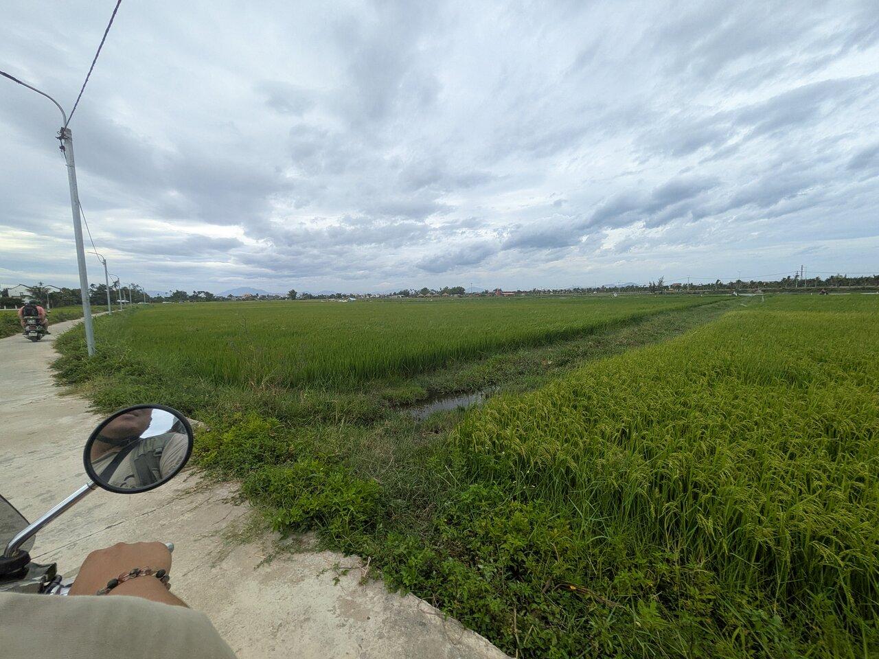 Review photo