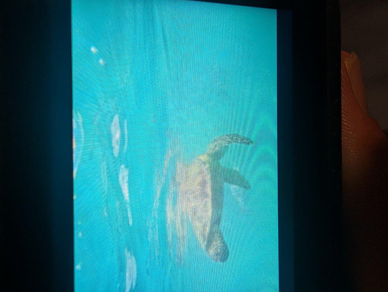 Review photo