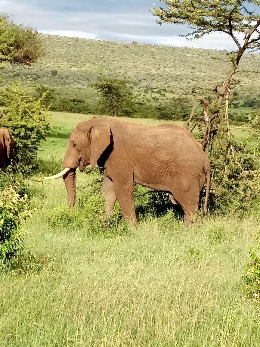 Review photo