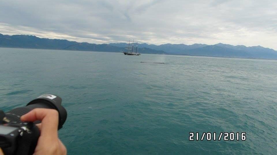 Review photo
