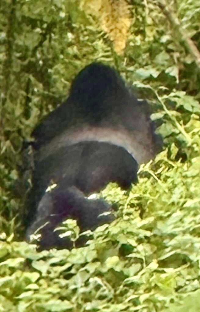Review photo