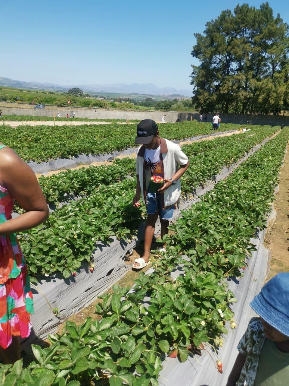 Review photo