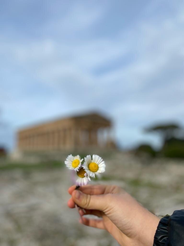 Review photo