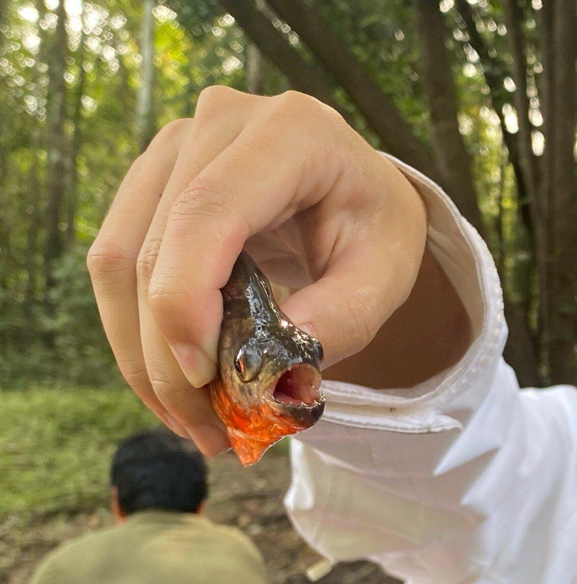 Review photo