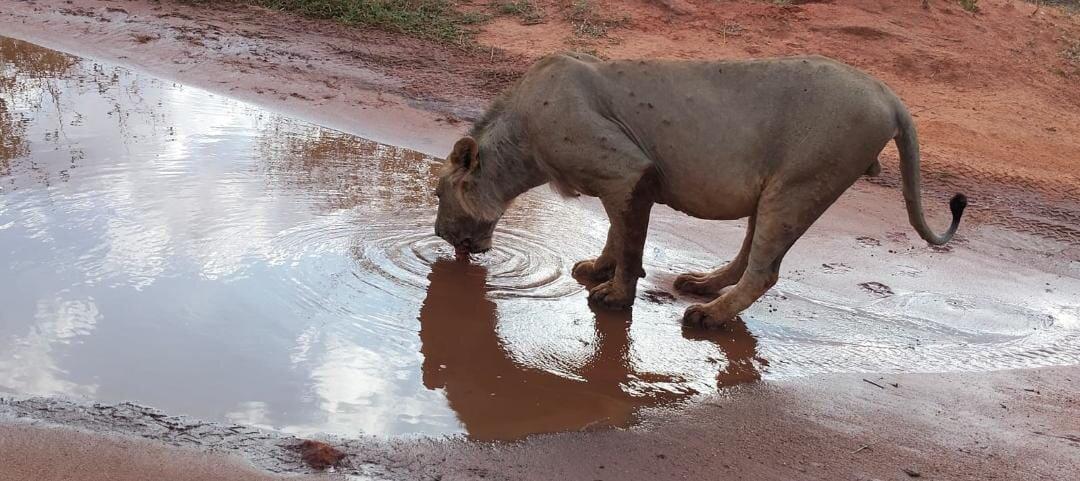 Review photo