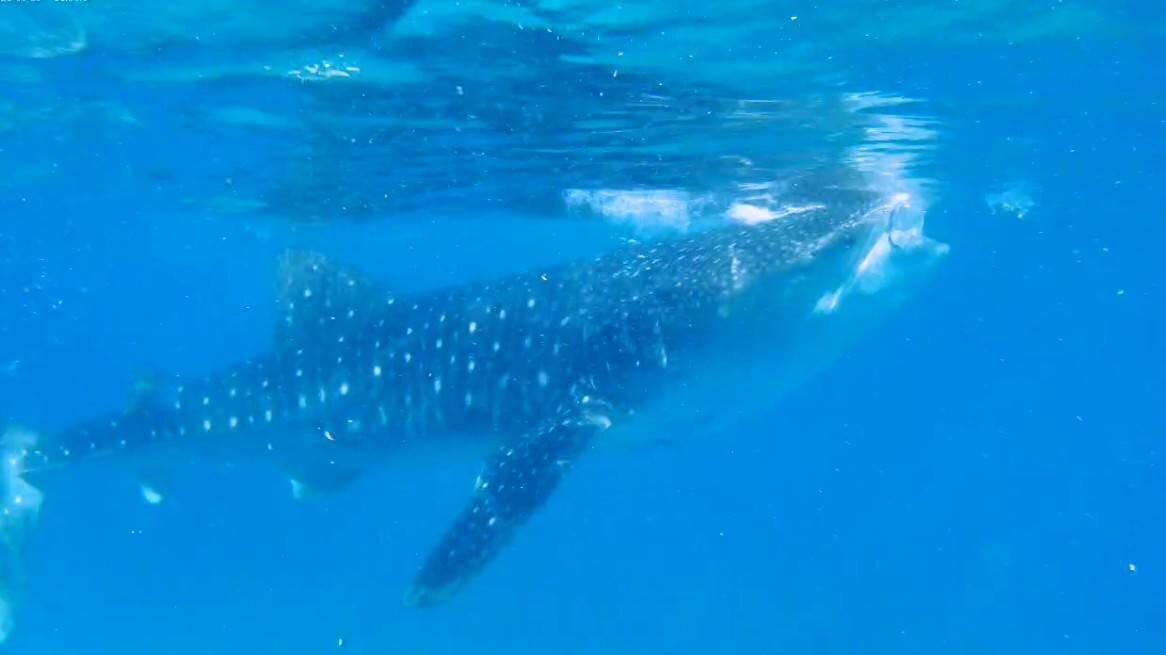 Review photo