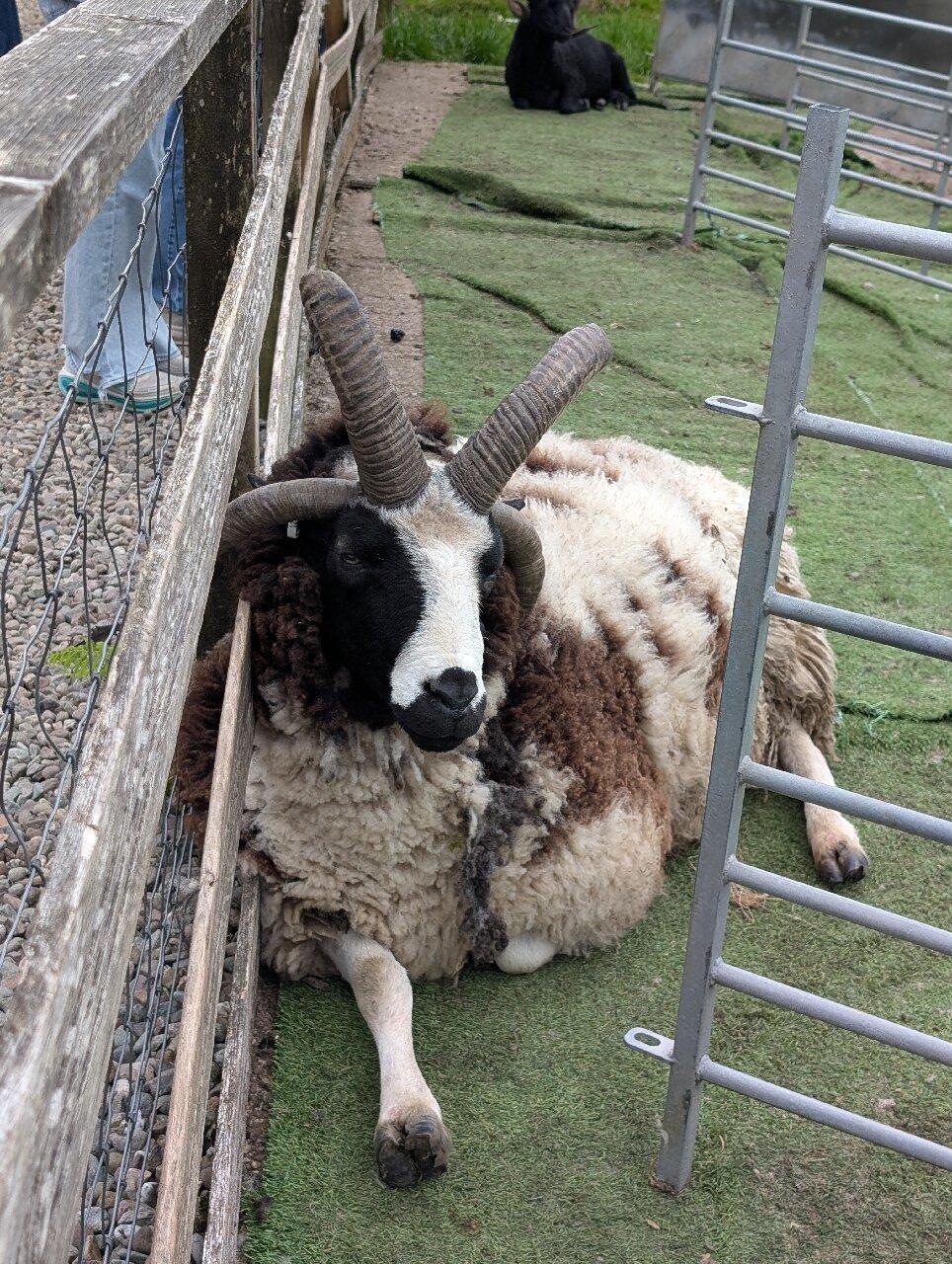 Review photo