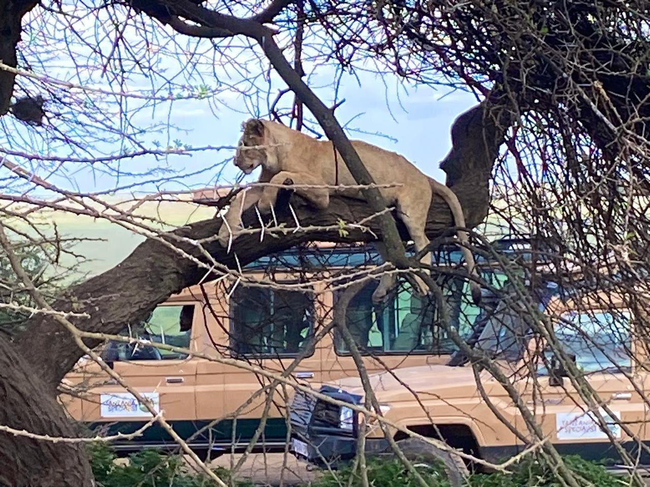 Review photo