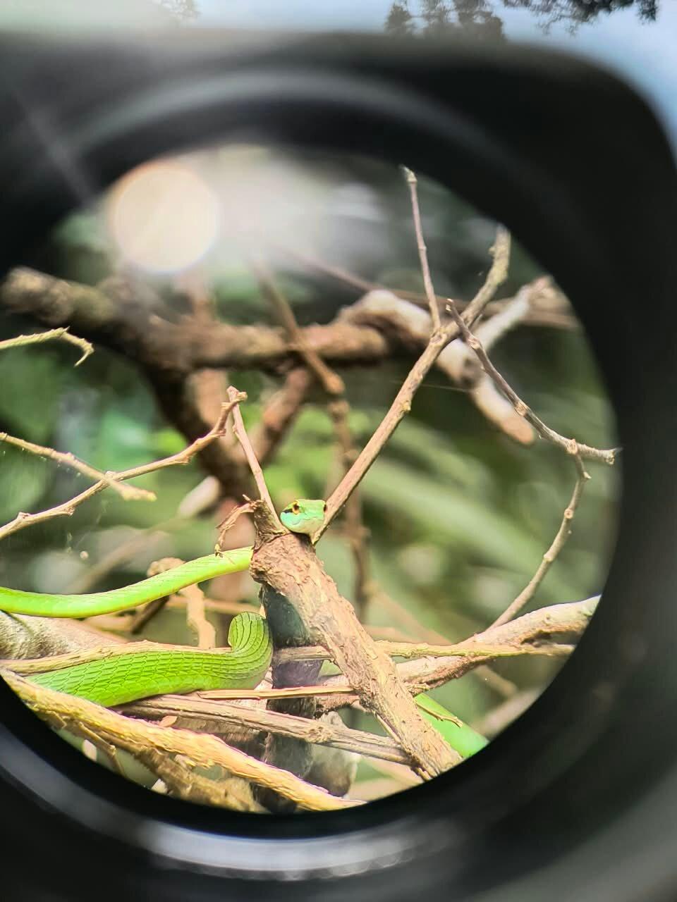 Review photo