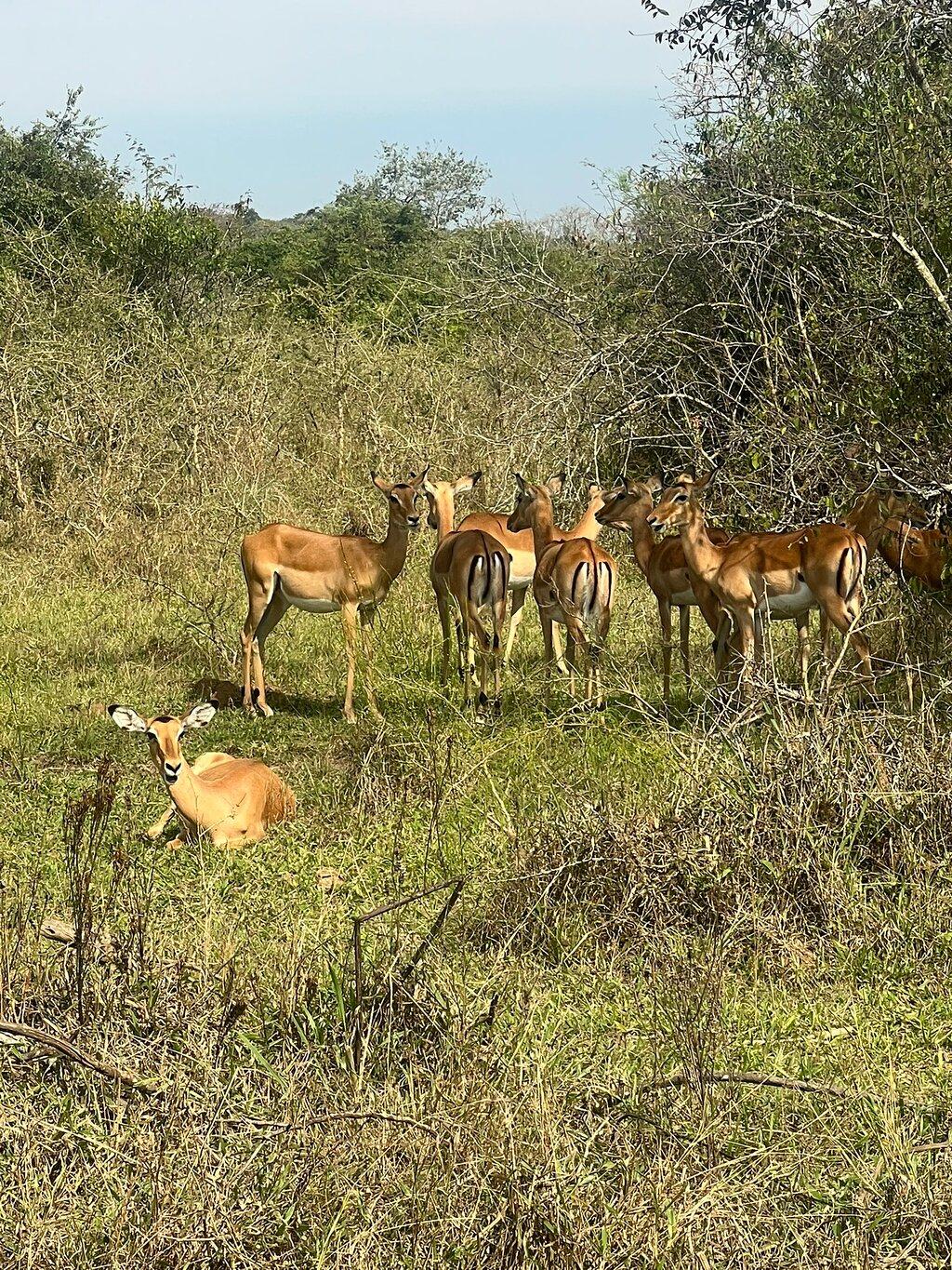 Review photo